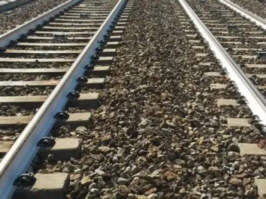 Treni cancellati in Calabria, il Codacons: «Odissea per migliaia di viaggiatori»