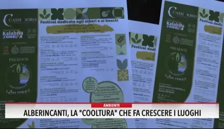 Alberincanti, la \"cooltura\"  che fa crescere i luoghi