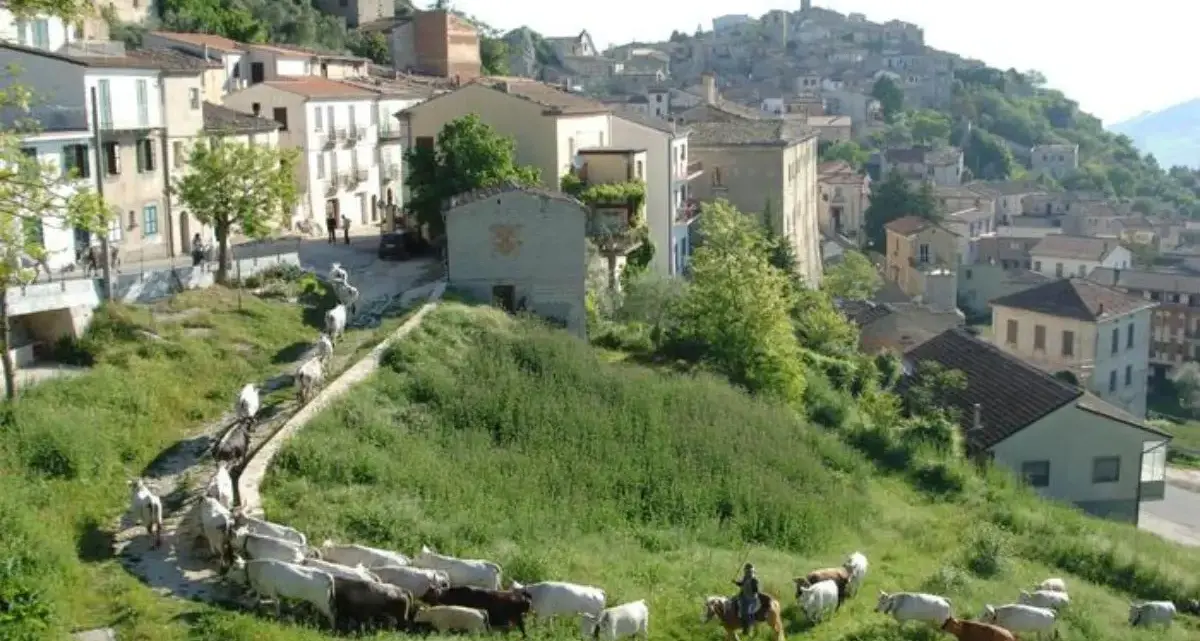 La Transumanza torna protagonista: in Calabria il primo evento dedicato alla valorizzazione dei tratturi regionali\n