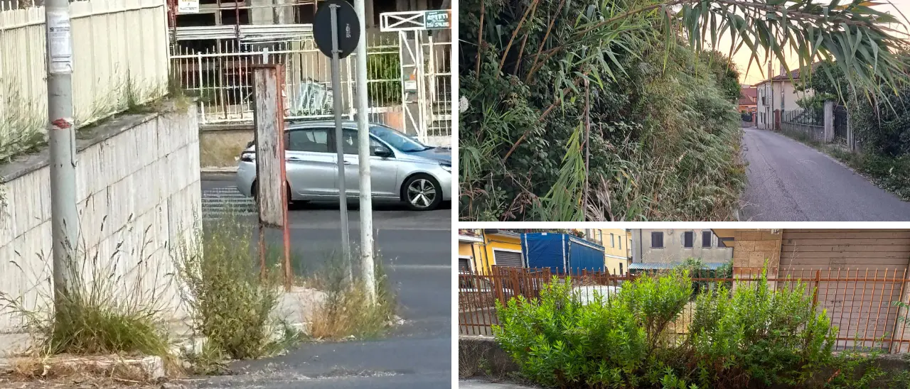 «Erba alta e marciapiedi impercorribili, Vibo nel degrado»: Corrado (Fi) incalza il Comune e chiede il cronoprogramma sugli interventi di pulizia\n