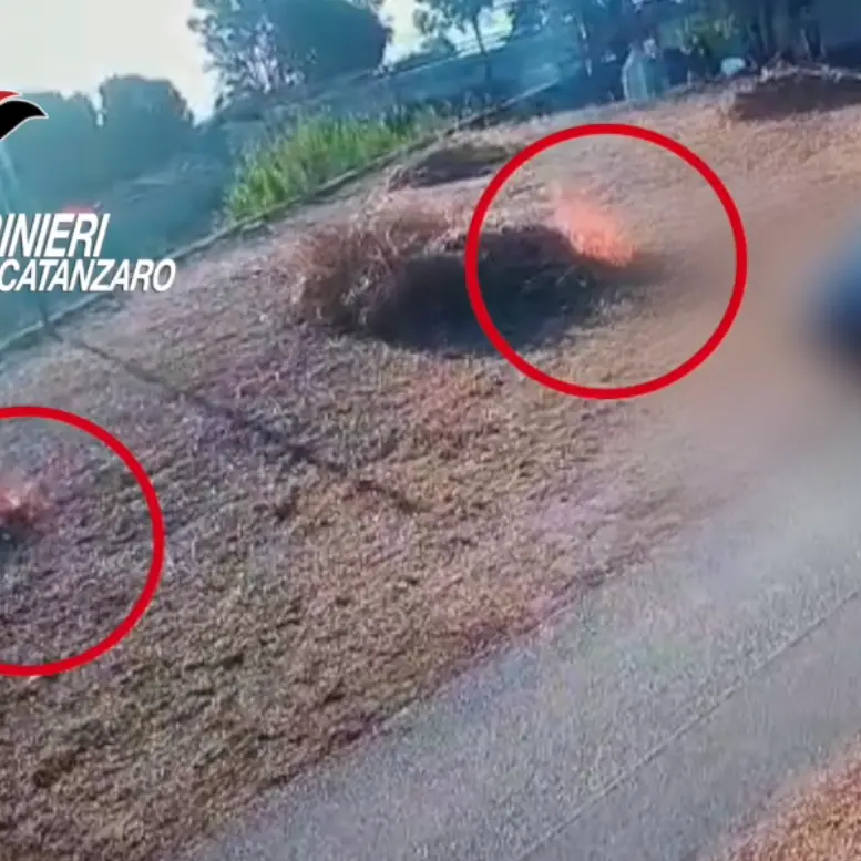 Appicca un rogo in pieno giorno a Montauro, nelle vicinanze auto e camper: denunciato uomo di 49 anni\n
