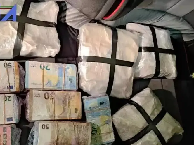 La sentenza Recovery conferma: narcotraffico principale fonte illecita dei clan di Cosenza. E la cosca Sganga non esiste