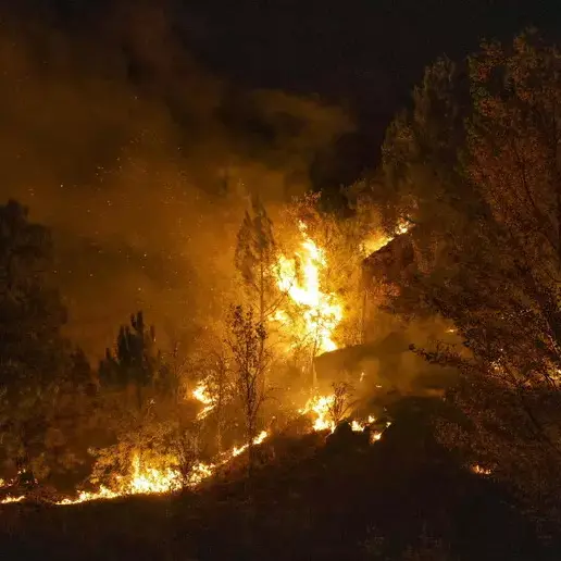 Incendio boschivo in Spagna, almeno undici morti ad Almeria: si teme un bilancio più grave\u00A0\n
