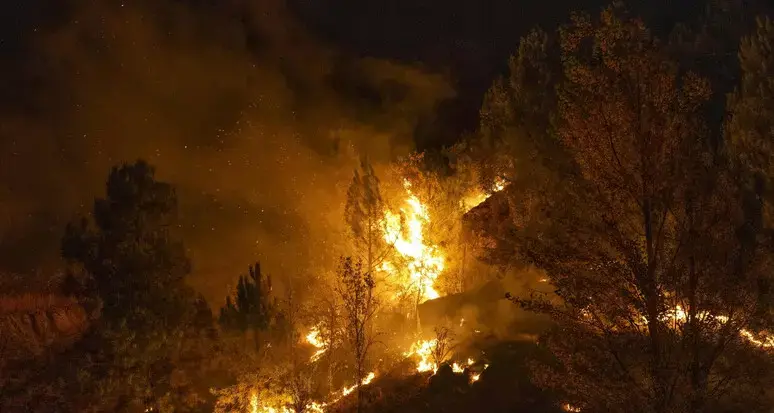 Incendio boschivo in Spagna, almeno undici morti ad Almeria: si teme un bilancio più grave\u00A0\n