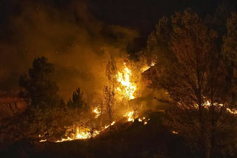 Incendio boschivo in Spagna, almeno undici morti ad Almeria: si teme un bilancio più grave\u00A0\n