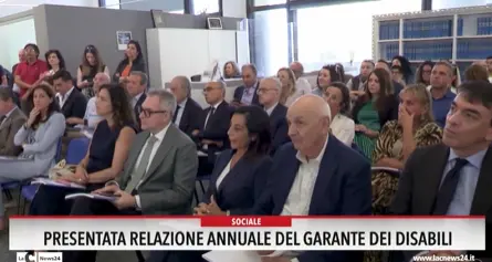 Presentata relazione annuale del garante dei disabili