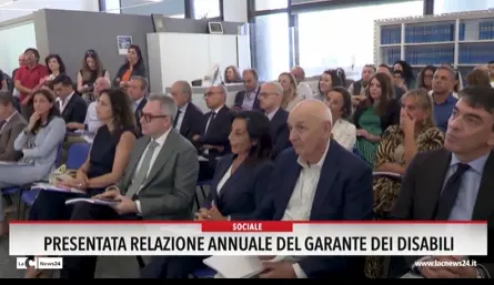 Presentata relazione annuale del garante dei disabili