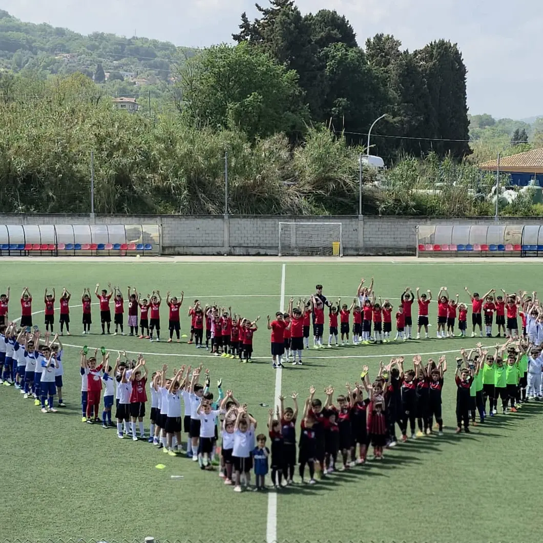 Calcio vibonese, la Figc-Lnd tira le somme della stagione tra attività giovanile e un campionato femminile tra gli obiettivi\n