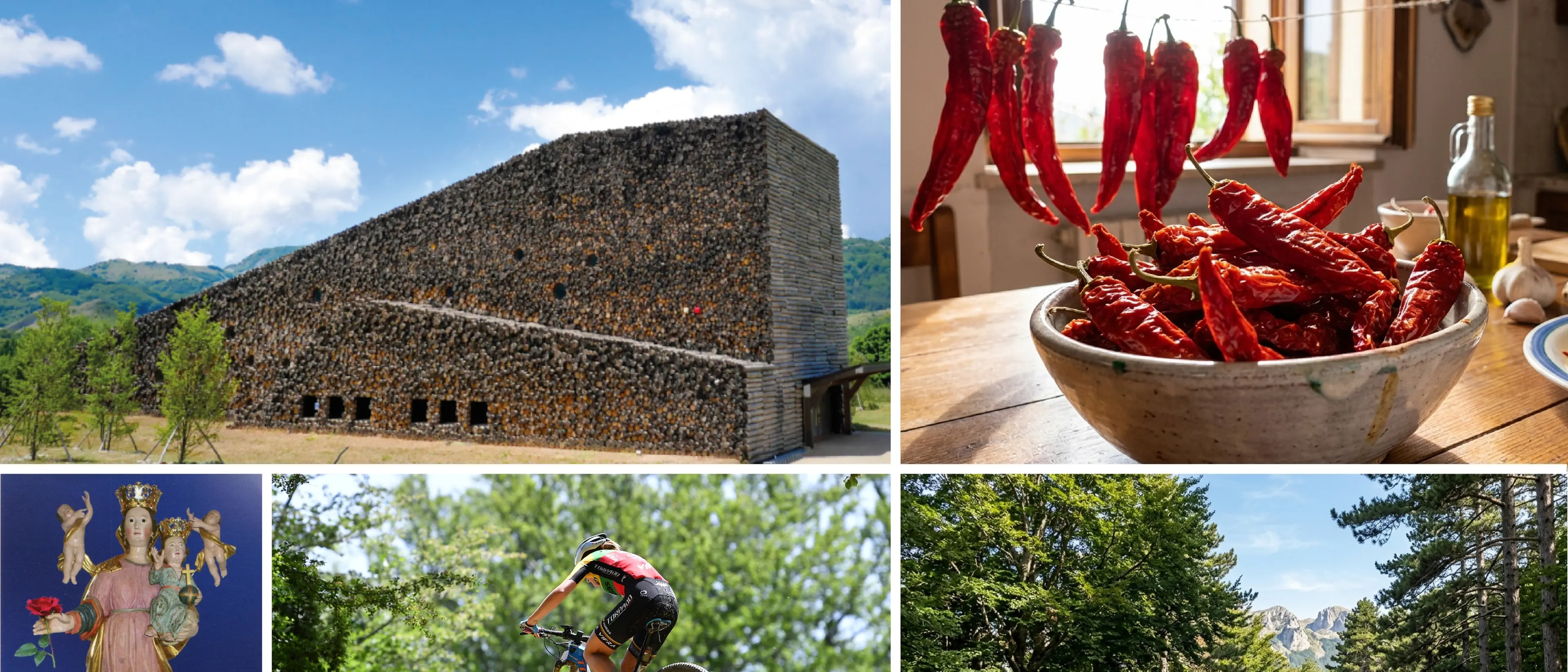 Il gigante verde del Sud: benvenuti nel Parco nazionale del Pollino tra\u00A0natura, sentieri ed\u00A0enogastronomia\n