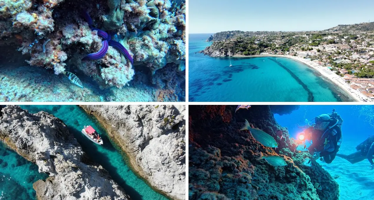 <p>La<span style=\"color:hsl(0, 75%, 60%);\"> Calabria sommersa</span> conquista i turisti: tra grotte, fondali e snorkeling alla scoperta della Costa degli Dei</p>