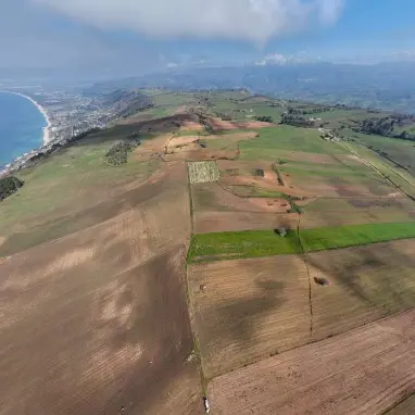 Un mega-impianto fotovoltaico da 61mila pannelli e 45 milioni di euro minaccia i campi del grano Rosìa (tutelato), i contadini di Maierato pronti alla rivolta\n