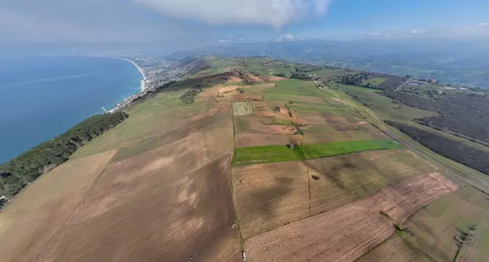 Un mega-impianto fotovoltaico da 61mila pannelli e 45 milioni di euro minaccia i campi del grano Rosìa (tutelato), i contadini di Maierato pronti alla rivolta\n