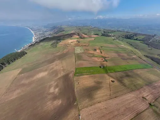 Un mega-impianto fotovoltaico da 61mila pannelli e 45 milioni di euro minaccia i campi del grano Rosìa (tutelato), i contadini di Maierato pronti alla rivolta