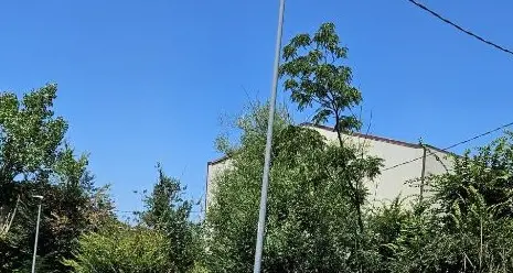 Riccio: \"Via Rito e Via Conti di Loritello abbandonate. A un anno dalla mia segnalazione ancora nessun intervento”\n