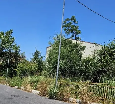 Riccio: \"Via Rito e Via Conti di Loritello abbandonate. A un anno dalla mia segnalazione ancora nessun intervento”\n