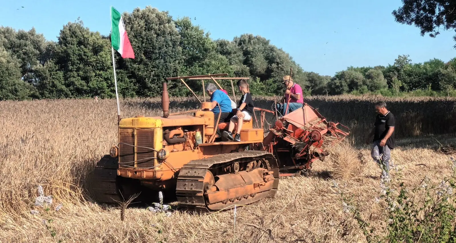 I contadini di Maierato celebrano il grano Rosìa nella nona Festa della mietitura\n
