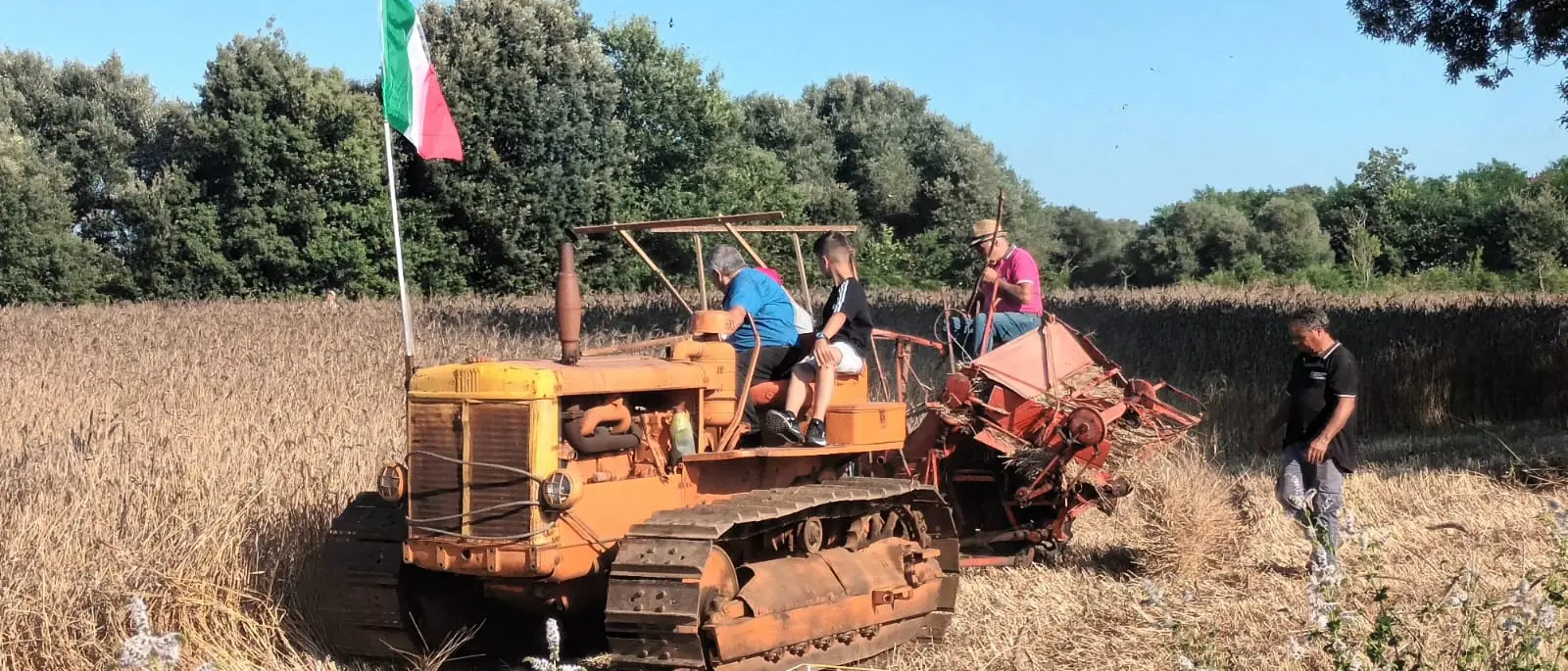 I contadini di Maierato celebrano il grano Rosìa nella nona Festa della mietitura\n