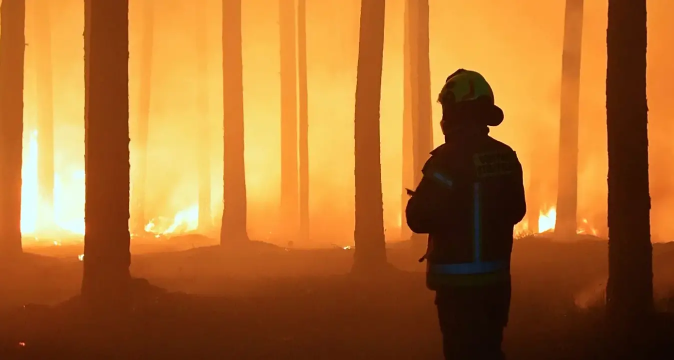 Rischio sismico, alluvioni e incendi: parte il piano da 24 milioni per la Protezione civile del Mezzogiorno. Coinvolta la Calabria\n