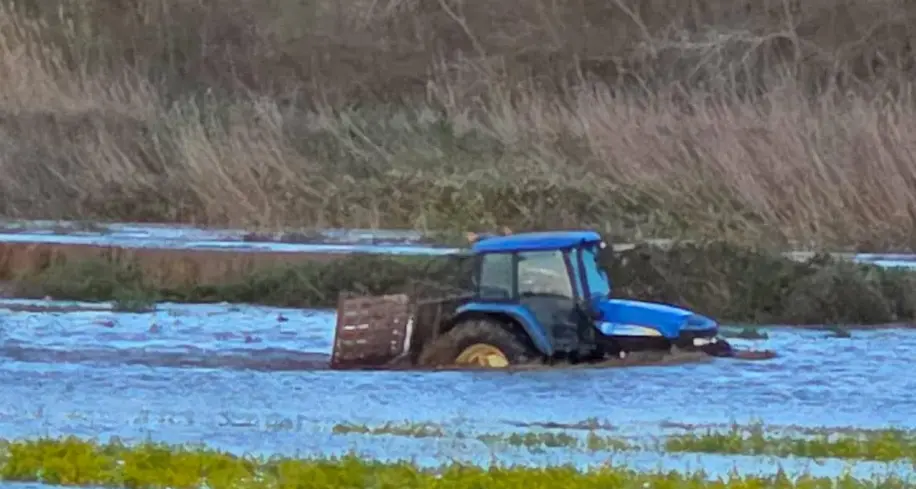 Ciclone Harry, al via le domande per i ristori alle aziende agricole colpite: c’è tempo fino al 25 luglio\n