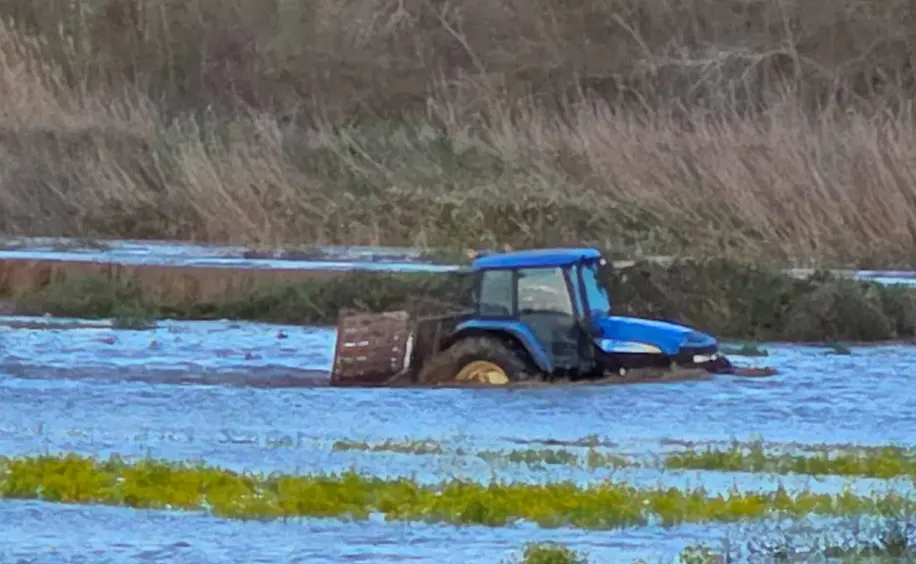 Ciclone Harry, al via le domande per i ristori alle aziende agricole colpite: c’è tempo fino al 25 luglio\n
