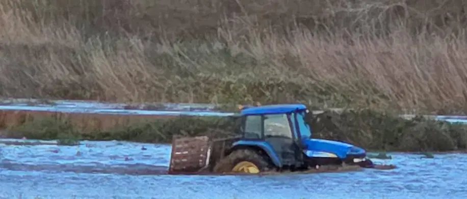 Ciclone Harry, al via le domande per i ristori alle aziende agricole colpite: c’è tempo fino al 25 luglio\n