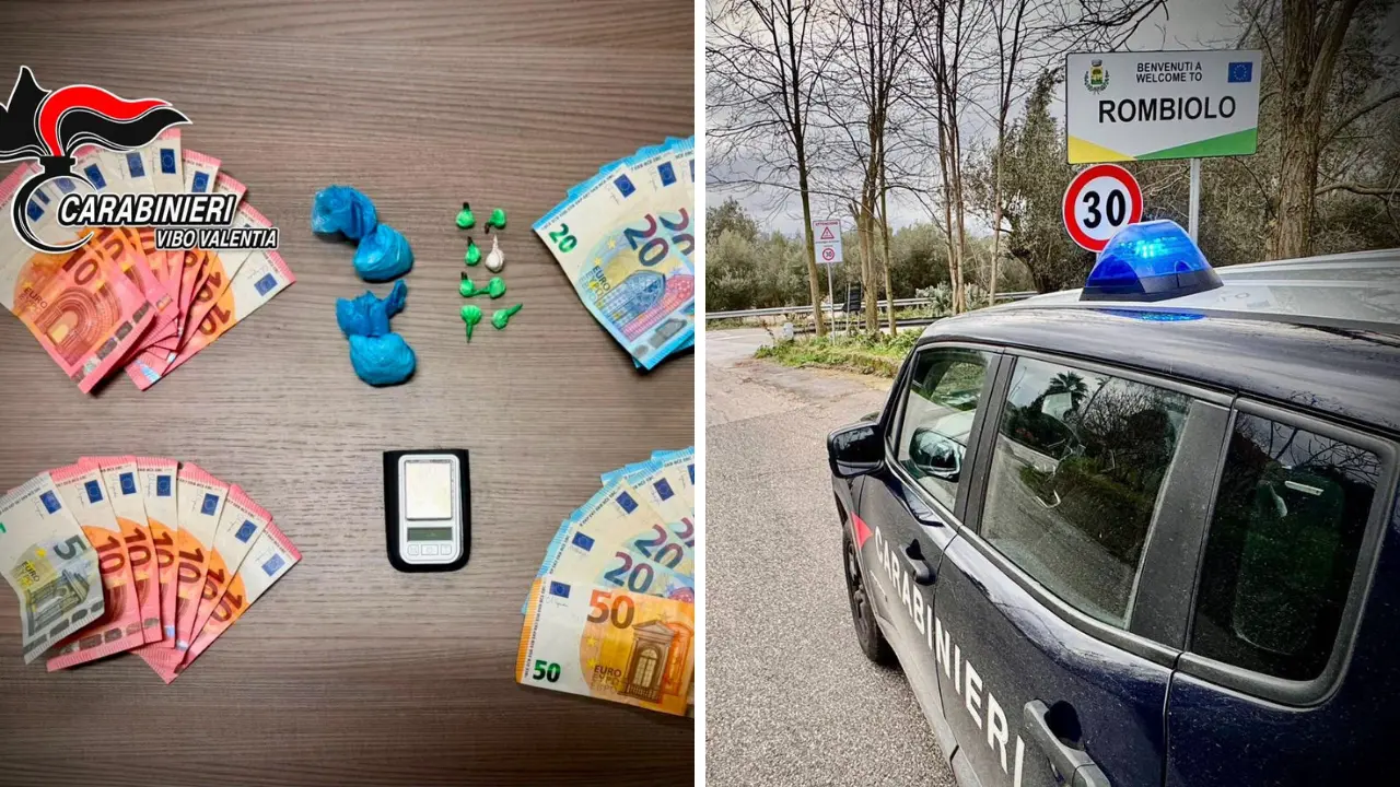Controlli dei carabinieri nel Vibonese: 364 persone identificate,\u00A0un arresto per spaccio\u00A0e due\u00A0ordini di carcerazione eseguiti a Mileto e Cessaniti\n