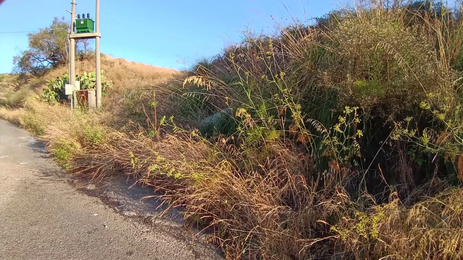Cadavere ritrovato a Reggio Calabria, si indaga tra le persone scomparse per risalire all’identità\n