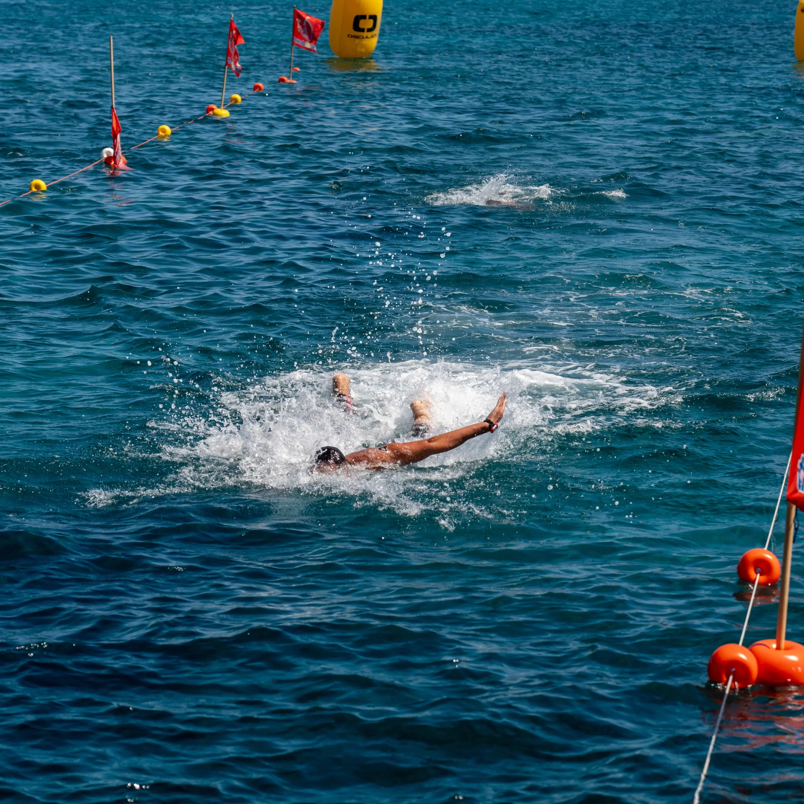 Traversata dello Stretto, ufficiale la start list: ottanta nuotatori pronti alla sfida del 2 agosto\n
