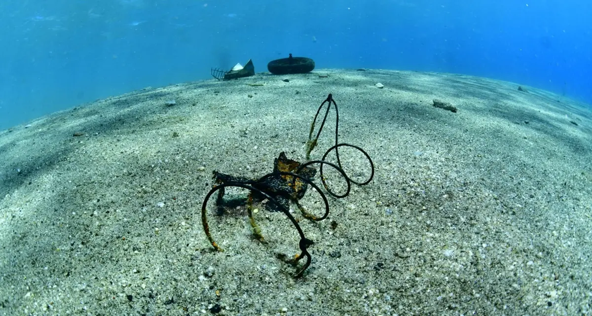 \"Acqua Azzurra\" fa tappa a Catona,\u00A0recuperati dai fondali 12 pneumatici e circa 127 kg di rifiuti dalla spiaggia\n