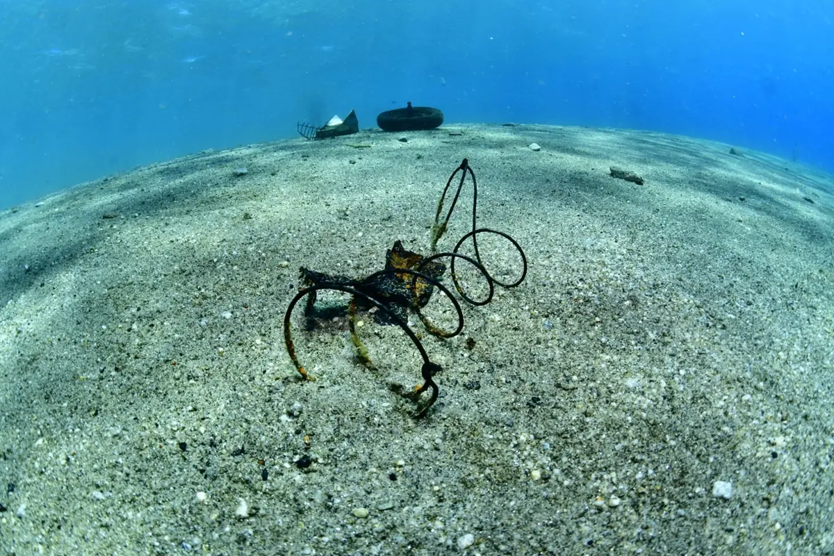 \"Acqua Azzurra\" fa tappa a Catona,\u00A0recuperati dai fondali 12 pneumatici e circa 127 kg di rifiuti dalla spiaggia\n