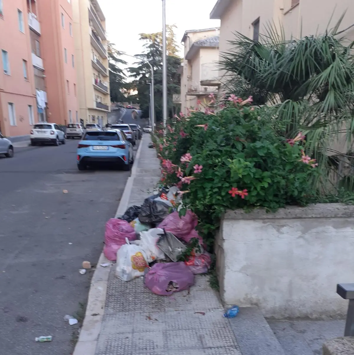 Polizia locale di Catanzaro, tolleranza zero e sanzioni contro l'abbandono dei rifiuti: da marzo contestate 49 violazioni\n