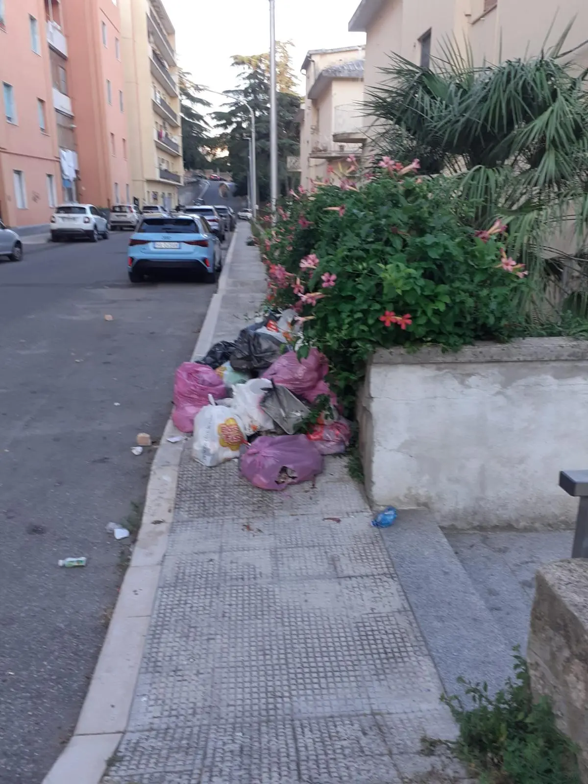 Polizia locale di Catanzaro, tolleranza zero e sanzioni contro l'abbandono dei rifiuti: da marzo contestate 49 violazioni\n