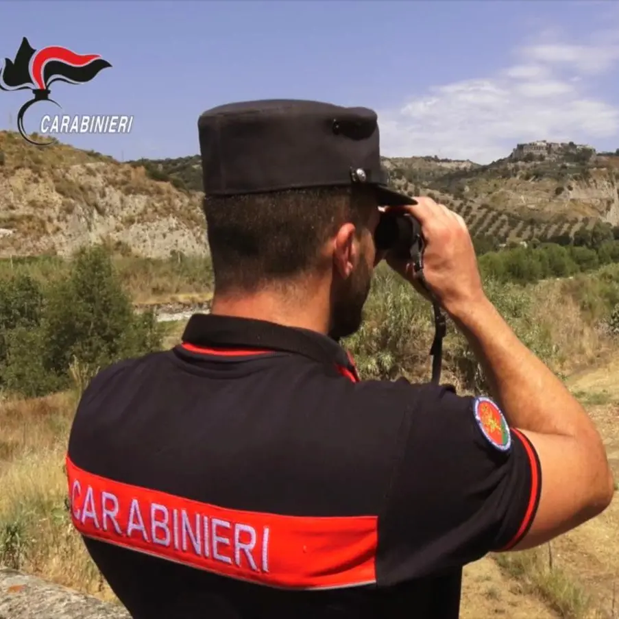 Carabinieri Catanzaro, scatta la campagna estiva di prevenzione e incendi: in campo pattuglie e droni ad alta risoluzione\n