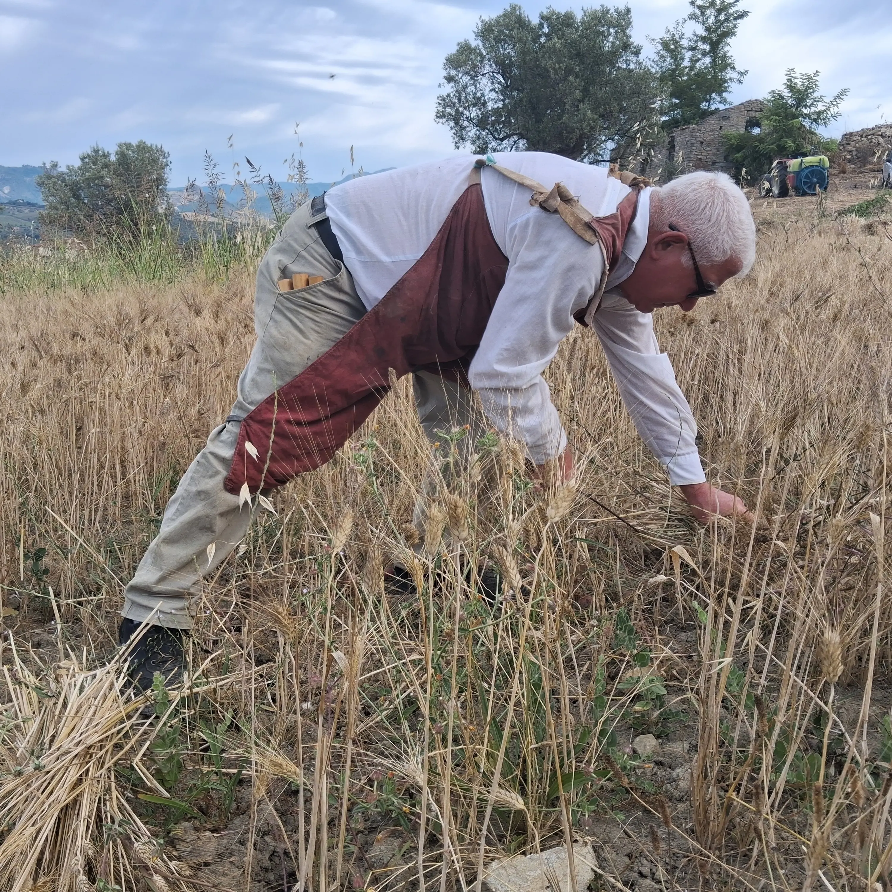 Cleto celebra la quarta Festa del Grano: tradizione, comunità e memoria conquistano la Calabria\n