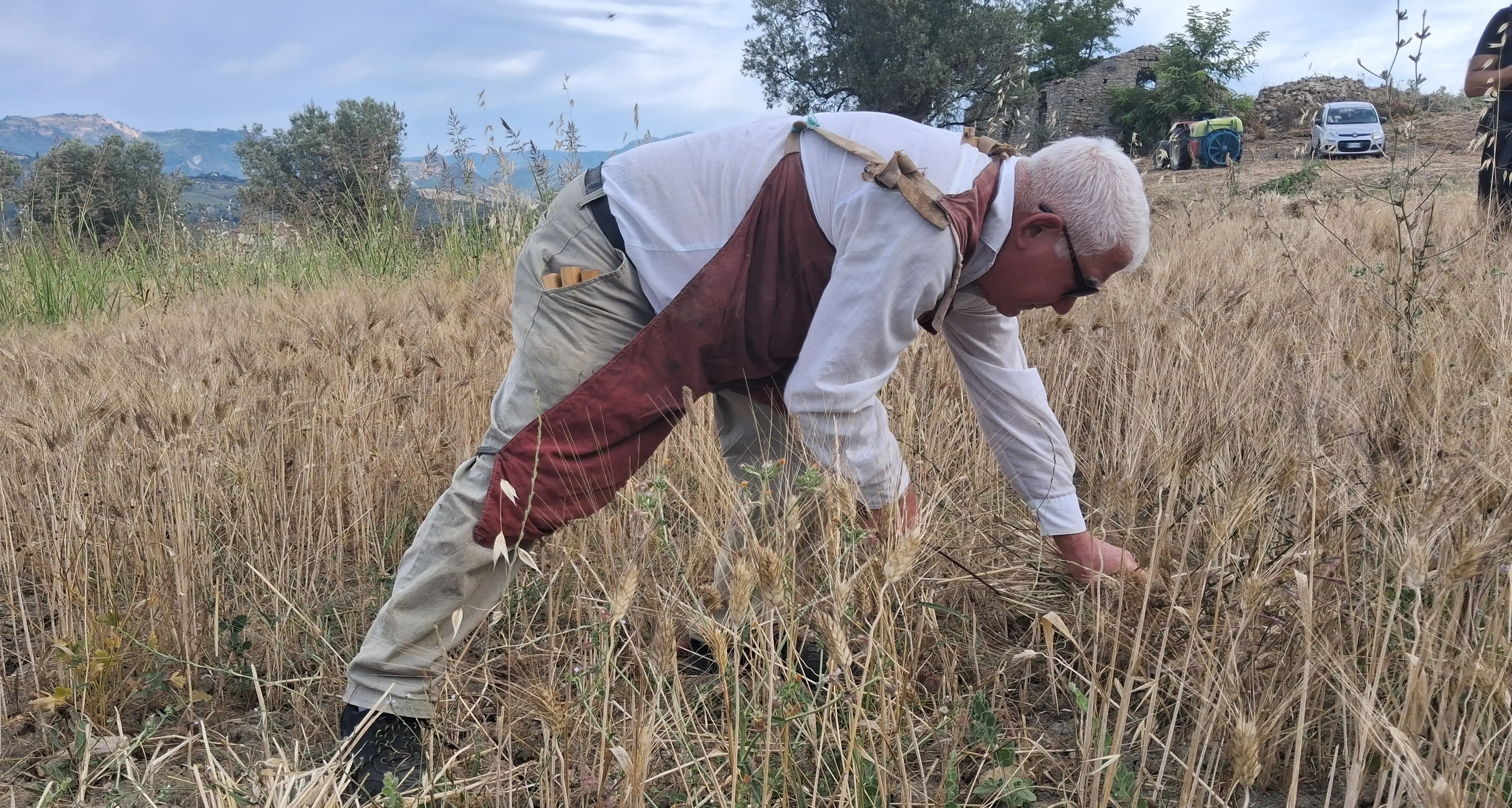 Cleto celebra la quarta Festa del Grano: tradizione, comunità e memoria conquistano la Calabria\n