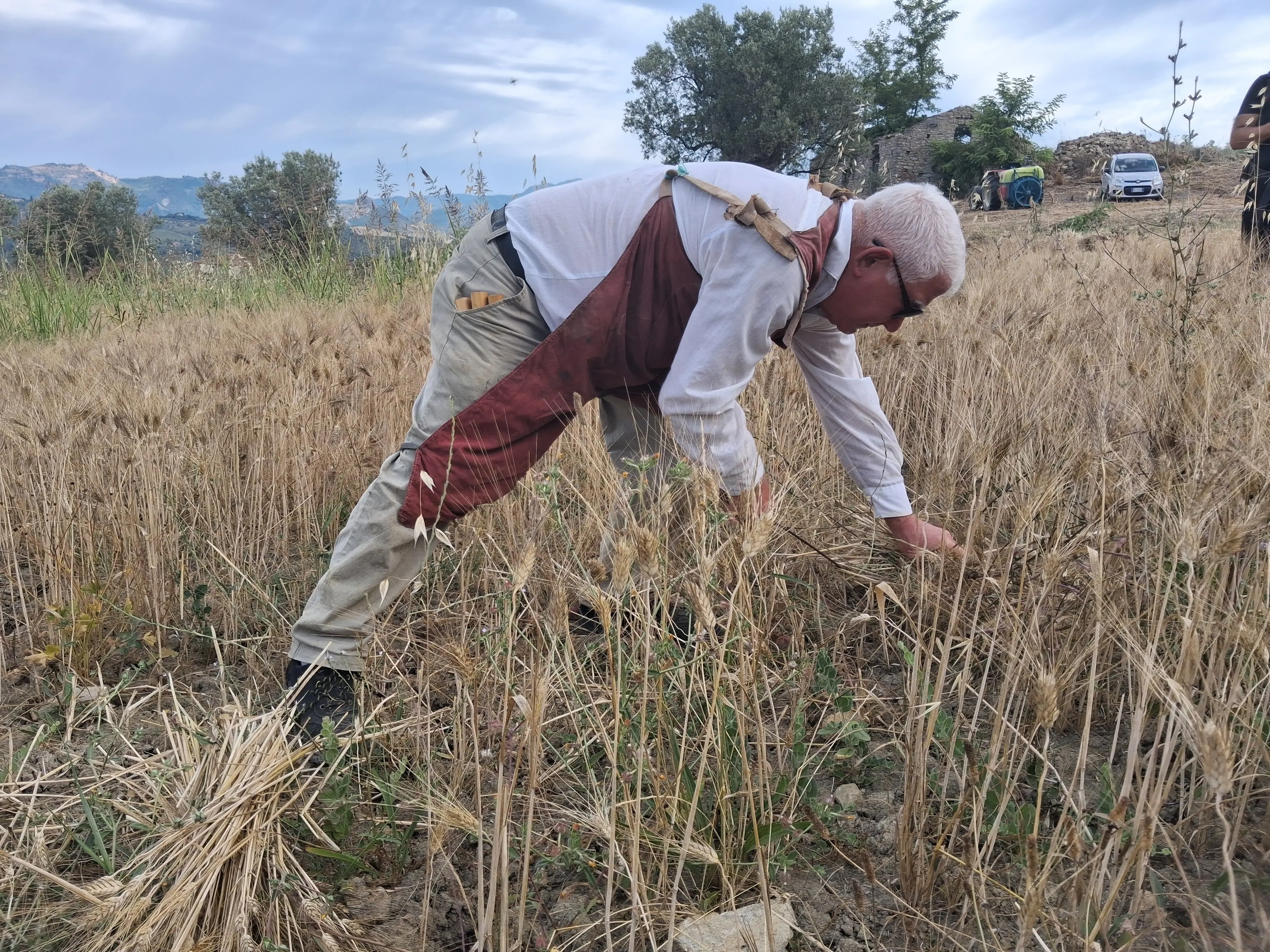 Cleto celebra la quarta Festa del Grano: tradizione, comunità e memoria conquistano la Calabria\n