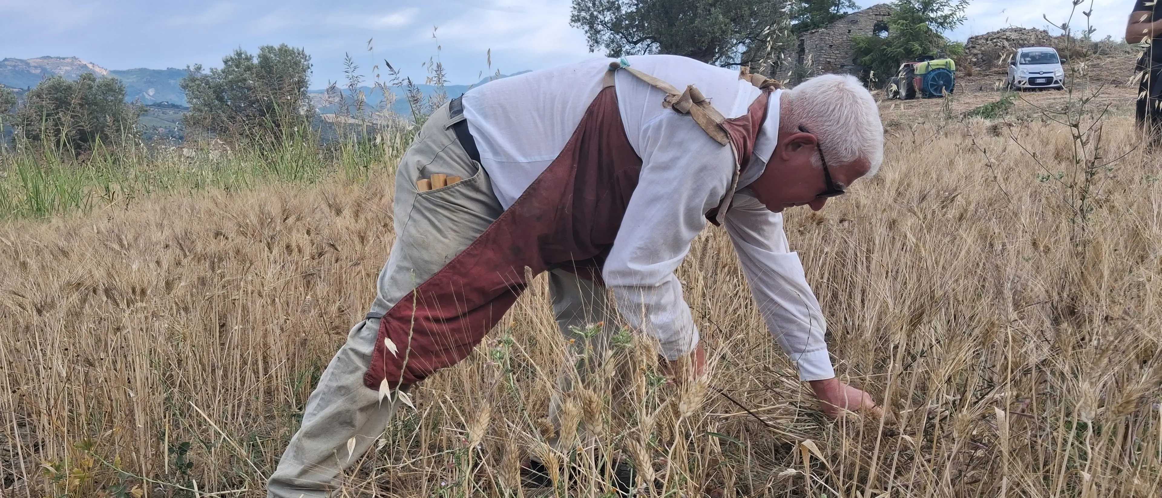 Cleto celebra la quarta Festa del Grano: tradizione, comunità e memoria conquistano la Calabria\n