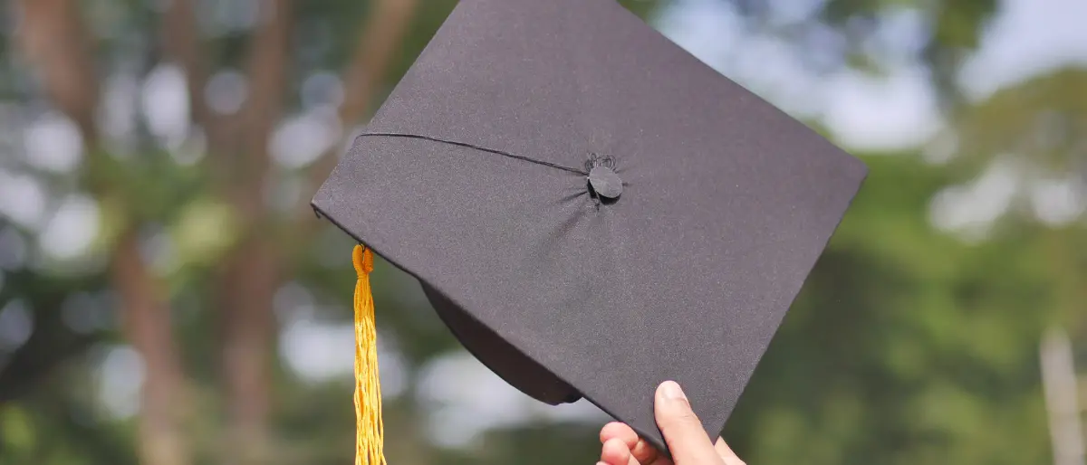 La «confederazione di cosche» e il ritorno ai riti di affiliazioni: «Chiesta una dote di ‘ndrangheta come regalo di laurea»\n
