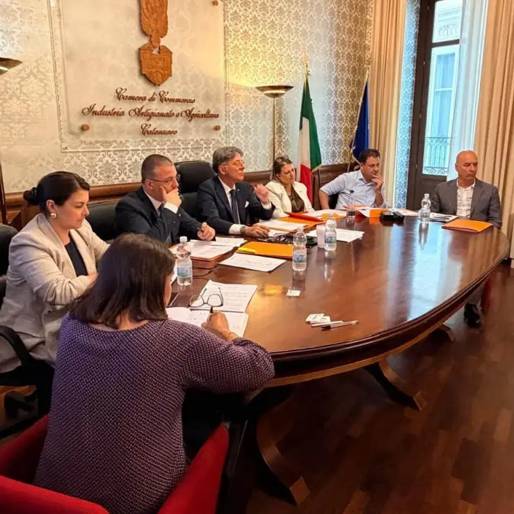 Camera di Commercio Catanzaro-Crotone-Vibo, via libera al bilancio 2025: più risorse per innovazione e imprese\n