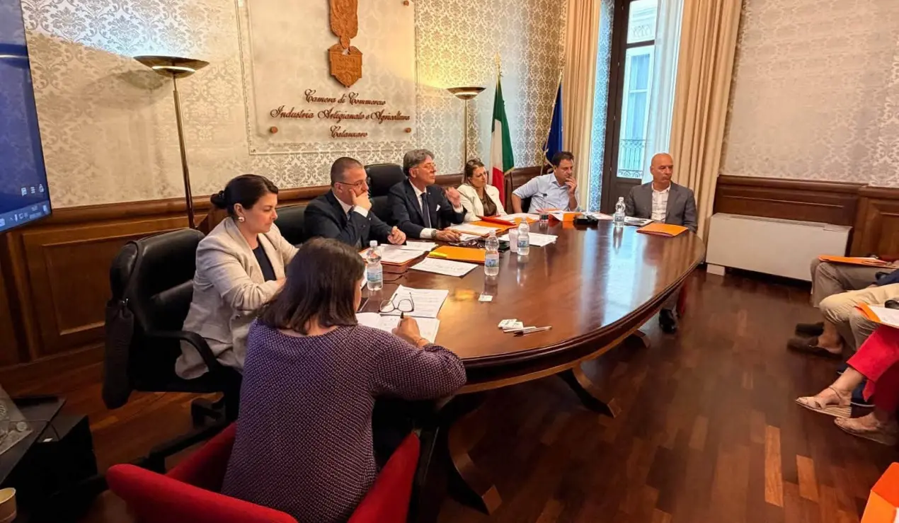 Camera di Commercio Catanzaro-Crotone-Vibo, via libera al bilancio 2025: più risorse per innovazione e imprese\n