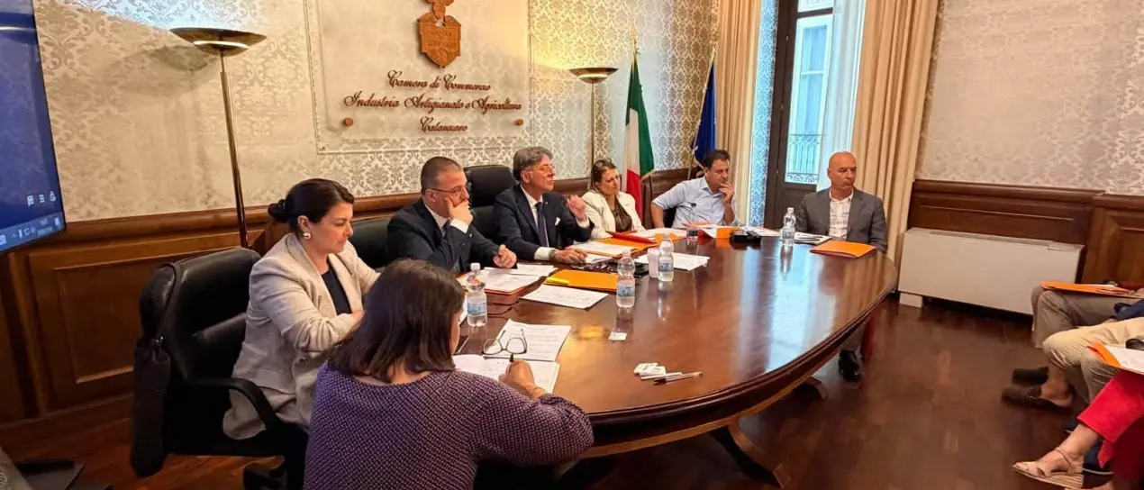 Camera di Commercio Catanzaro-Crotone-Vibo, via libera al bilancio 2025: più risorse per innovazione e imprese\n