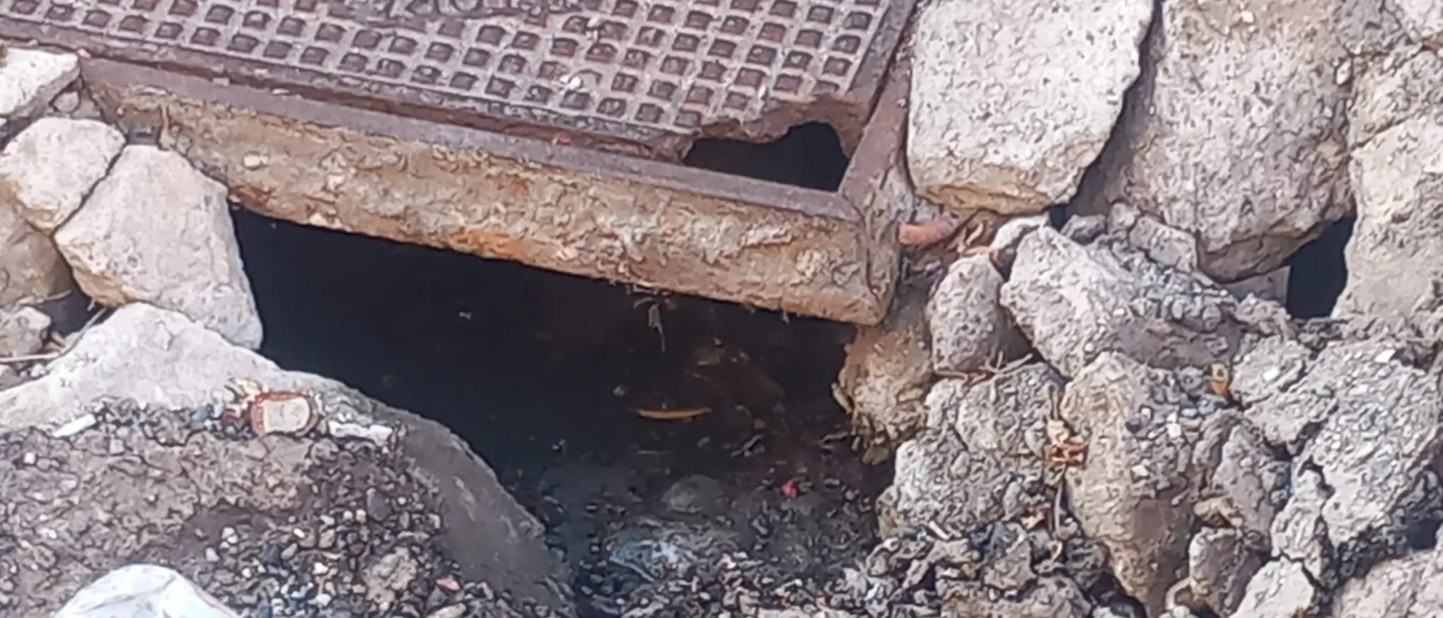 Catanzaro, a Santa Maria\u00A0strade ridotte a colabrodo e area mercatale insicura: la denuncia di\u00A0Giovanni Costa\n