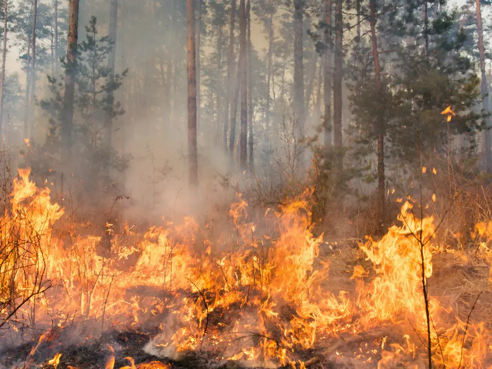 Incendi e crisi idrica in Calabria, il Pd attacca Occhiuto: «Sette anni di propaganda, manca una strategia»