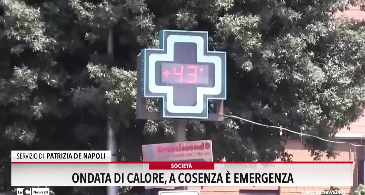 Ondata di calore: a Cosenza è emergenza