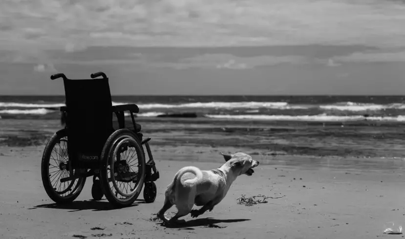 Spiagge non accessibili ai disabili, a Briatico\u00A0la minoranza incalza l’amministrazione: «Il mare deve essere davvero di tutti»\n