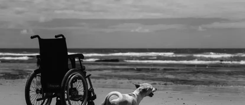 Spiagge non accessibili ai disabili, a Briatico\u00A0la minoranza incalza l’amministrazione: «Il mare deve essere davvero di tutti»\n