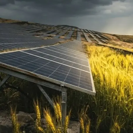 Fotovoltaico sugli Scrisi, arriva il primo “No” istituzionale: il Comune di Maierato delibera un parere «nettamente negativo»\n
