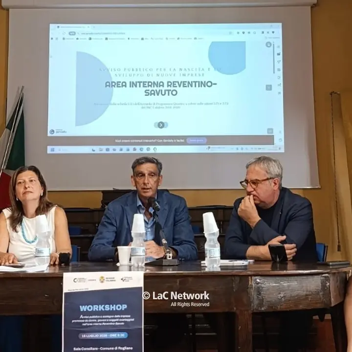 Programma di sostegno allo sviluppo di imprese nell’area interna Reventino-Savuto