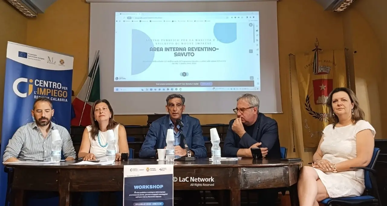 Programma di sostegno allo sviluppo di imprese nell’area interna Reventino-Savuto