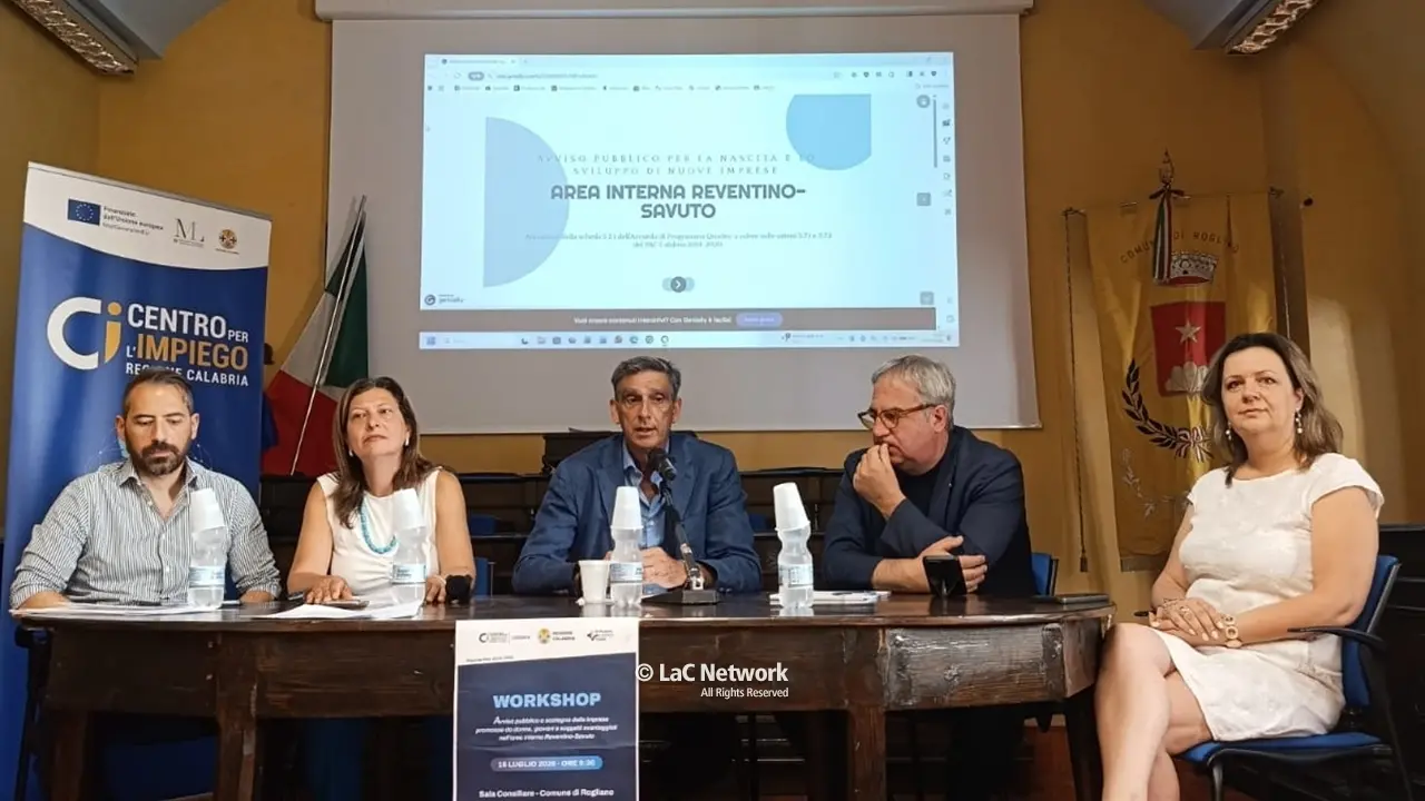 Programma di sostegno allo sviluppo di imprese nell’area interna Reventino-Savuto